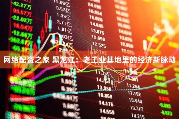 网络配资之家 黑龙江：老工业基地里的经济新脉动