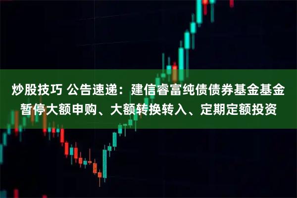 炒股技巧 公告速递：建信睿富纯债债券基金基金暂停大额申购、大额转换转入、定期定额投资